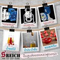 ปั๊มฟูดเกรดสูบส่งอาหาร สูบส่งเครื่องดื่ม Sanitary Pump ปั๊มดับเบิ้ลไดอะแฟรม ปั๊มยุโรป