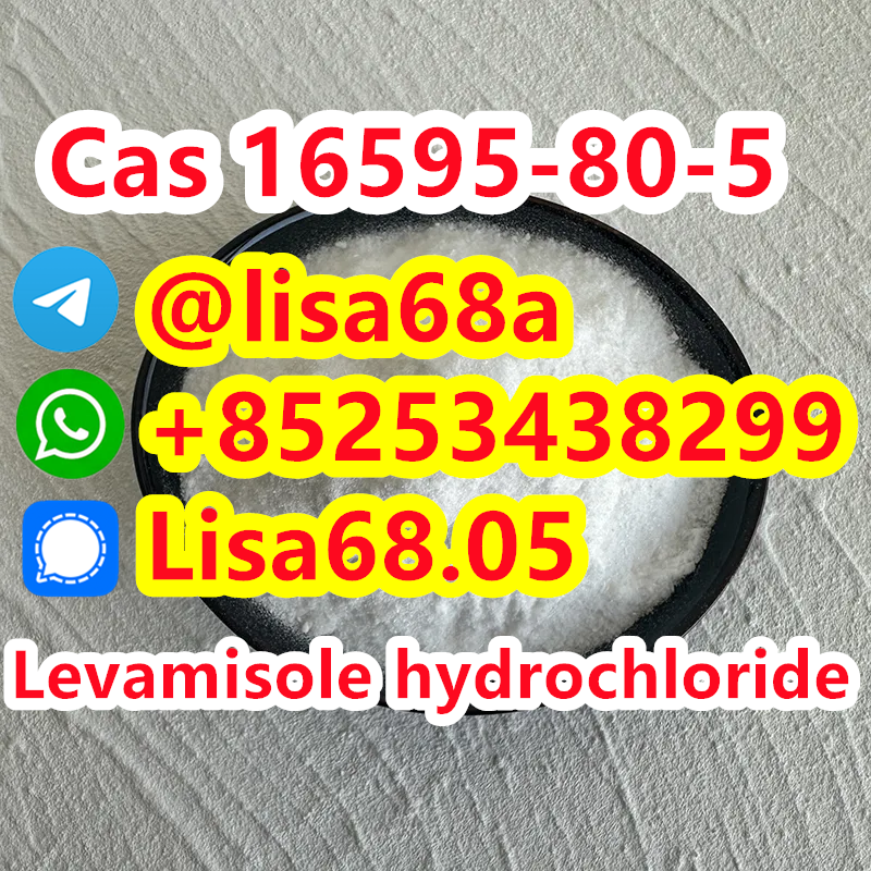 CAS 16595-80-5 Levamisole hydrochloride C11H13ClN2S รูปที่ 1