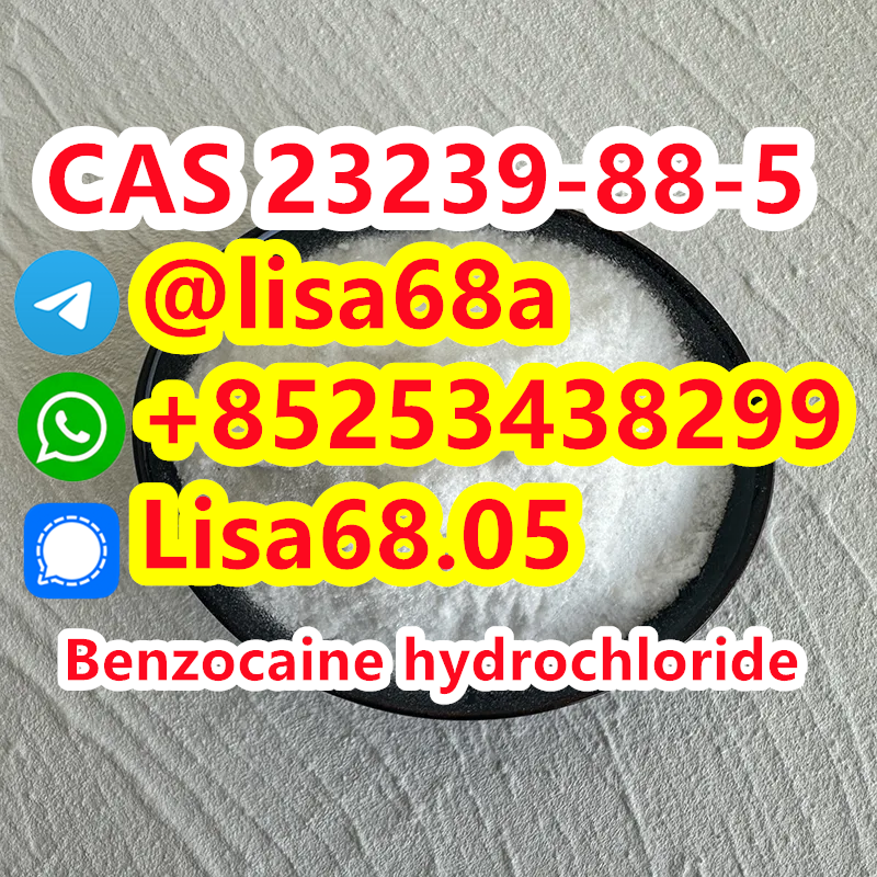 CAS 23239-88-5 Benzocaine hydrochloride C9H11NO2.ClH รูปที่ 1