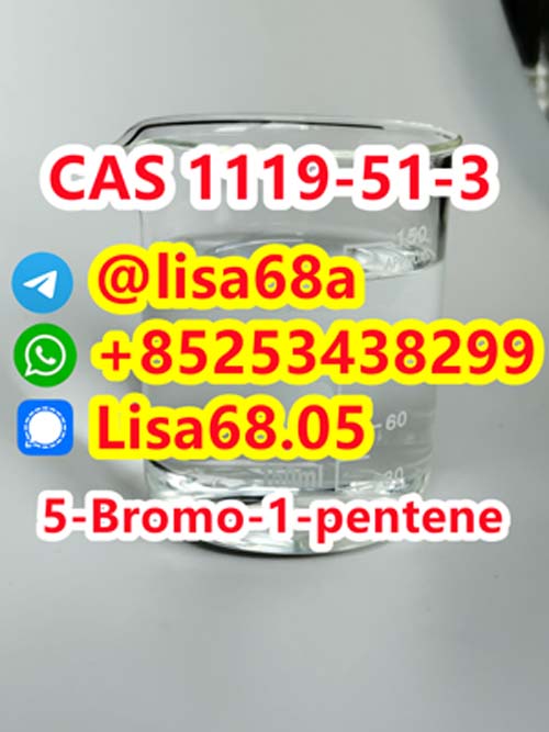 CAS 1119-51-3 5-Bromo-1-pentene C5H9Br รูปที่ 1