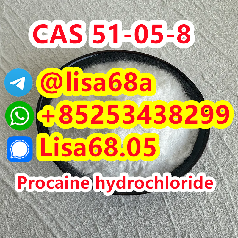 CAS 51-05-8 Procaine hydrochloride C13H21ClN2O2 รูปที่ 1