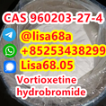 CAS 960203-27-4 Vortioxetine hydrobromide C18H23BrN2S