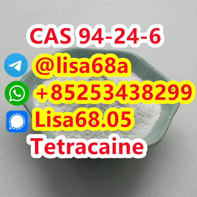 CAS 94-24-6 Tetracaine C15H24N2O2 รูปที่ 1