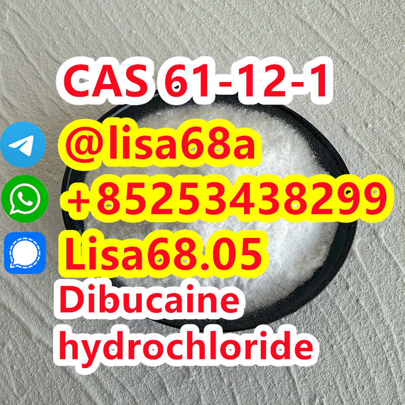 CAS 61-12-1 Dibucaine hydrochloride C20H30ClN3O2 รูปที่ 1