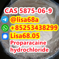 CAS 5875-06-9 Proparacaine hydrochloride C16H27ClN2O3