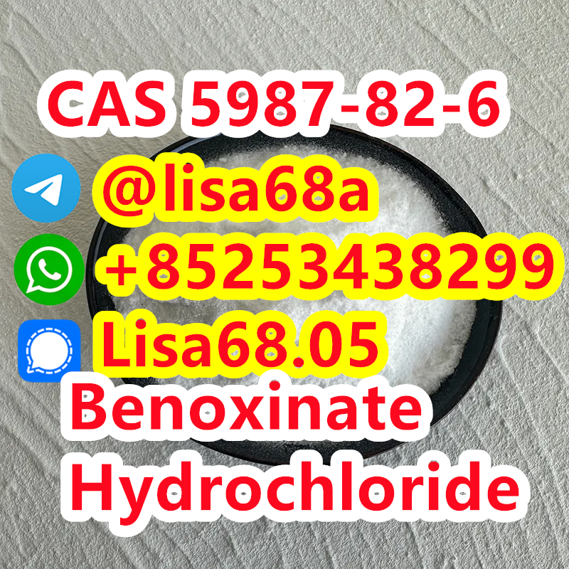 CAS 5987-82-6 Benoxinate Hydrochloride C17H29ClN2O3 รูปที่ 1