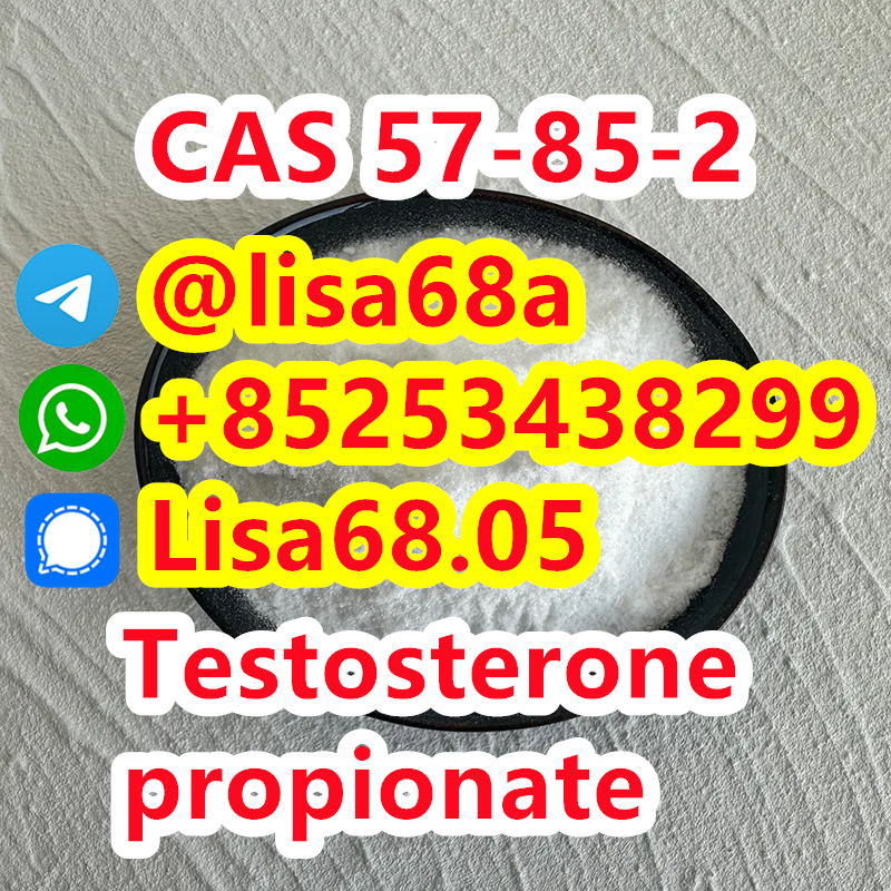 CAS 57-85-2 Testosterone propionate C22H32O3 รูปที่ 1