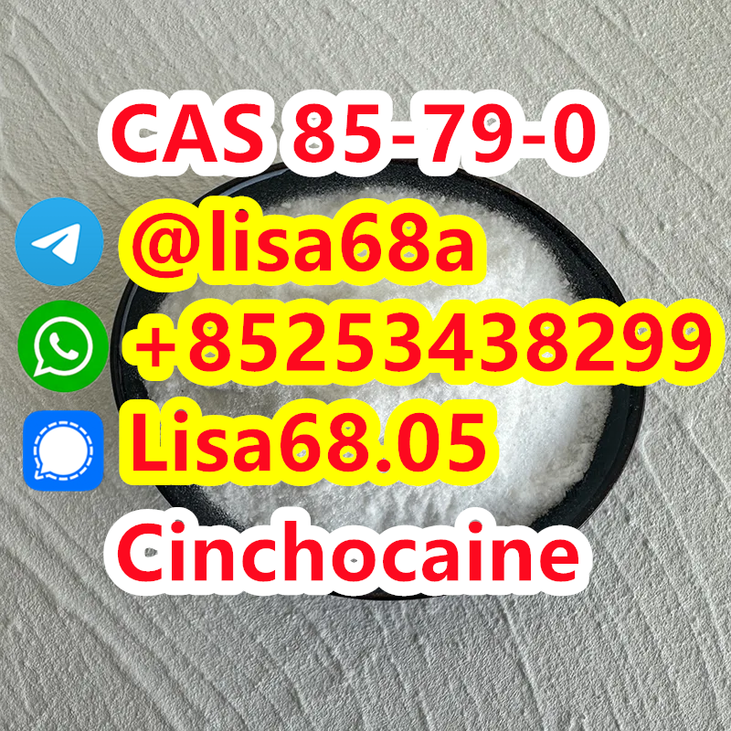 CAS 85-79-0 Cinchocaine C20H29N3O2 รูปที่ 1