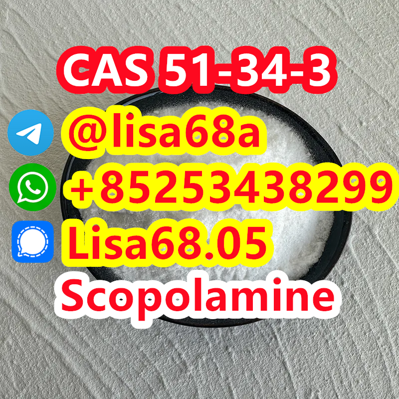 CAS 51-34-3 Scopolamine C17H21NO4 รูปที่ 1