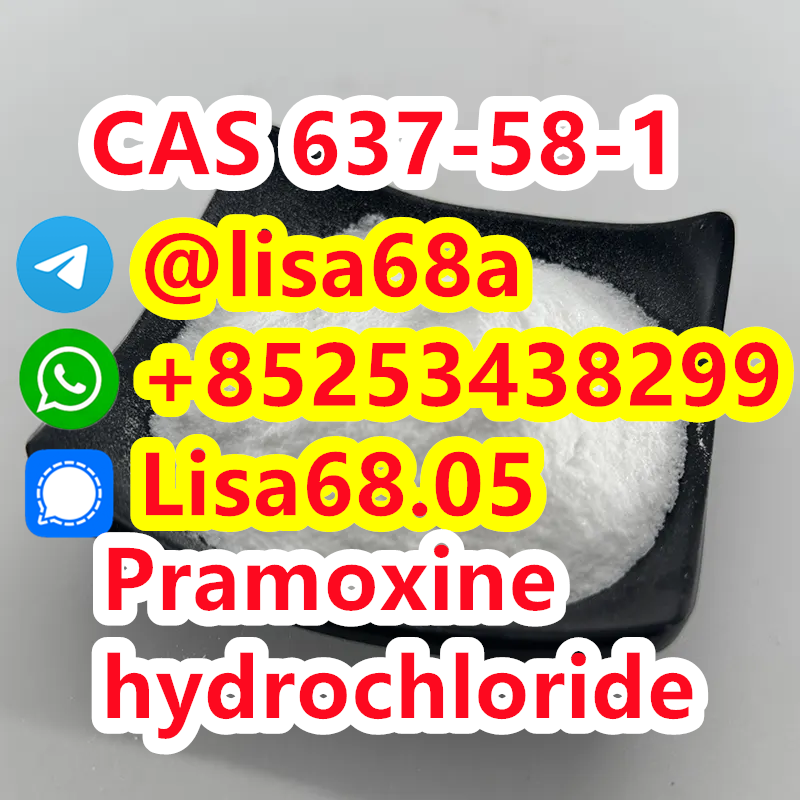 CAS 637-58-1 Pramoxine hydrochloride C17H28ClNO3 รูปที่ 1