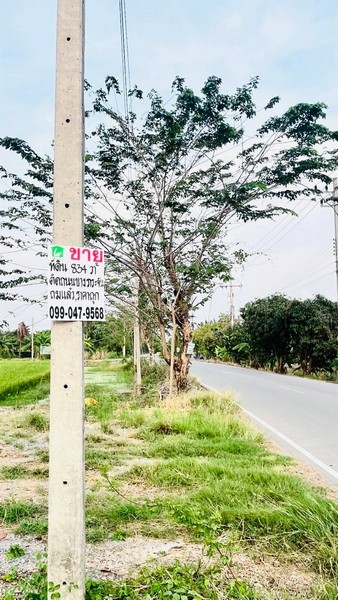 ขายด่วนที่ดิน 2 ไร่ ใกล้ศาลายา เหมาะสร้างบ้านพักอาศัย ร้านกาแฟคาเฟ่ ประกอบธุรกิจ - ghd000541 รูปที่ 1