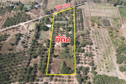 ขายรีสอร์ท น้ำตกตาดหมอก อุทยานแห่งชาติตาดหมอก เมืองเพชรบูรณ์ เพชรบูรณ์ รูปที่ 2