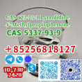 CAS 123-75-1 pYRROLIDINE 4mpf CAS 5337-93-9