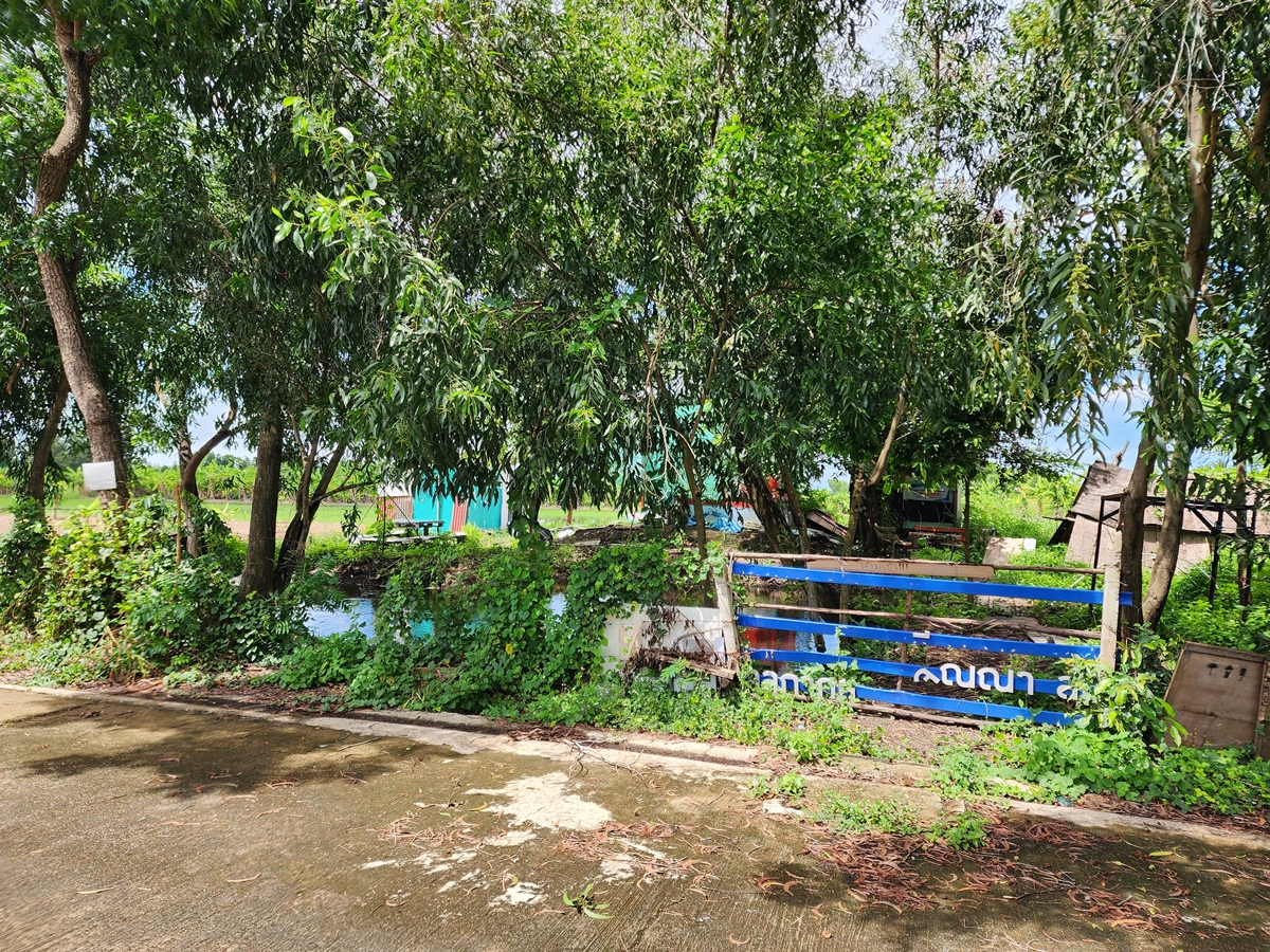 ขาย ที่ดิน 1 งาน ซ.คลองห้าตะวันตก 73 อ.คลองหลวง จ.ปทุมธานี รูปที่ 6