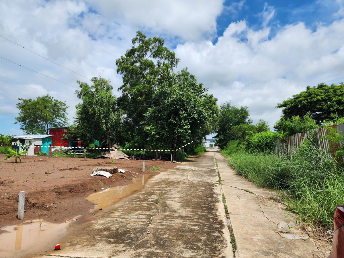 ขาย ที่ดิน 1 งาน ซ.คลองห้าตะวันตก 73 อ.คลองหลวง จ.ปทุมธานี รูปที่ 4
