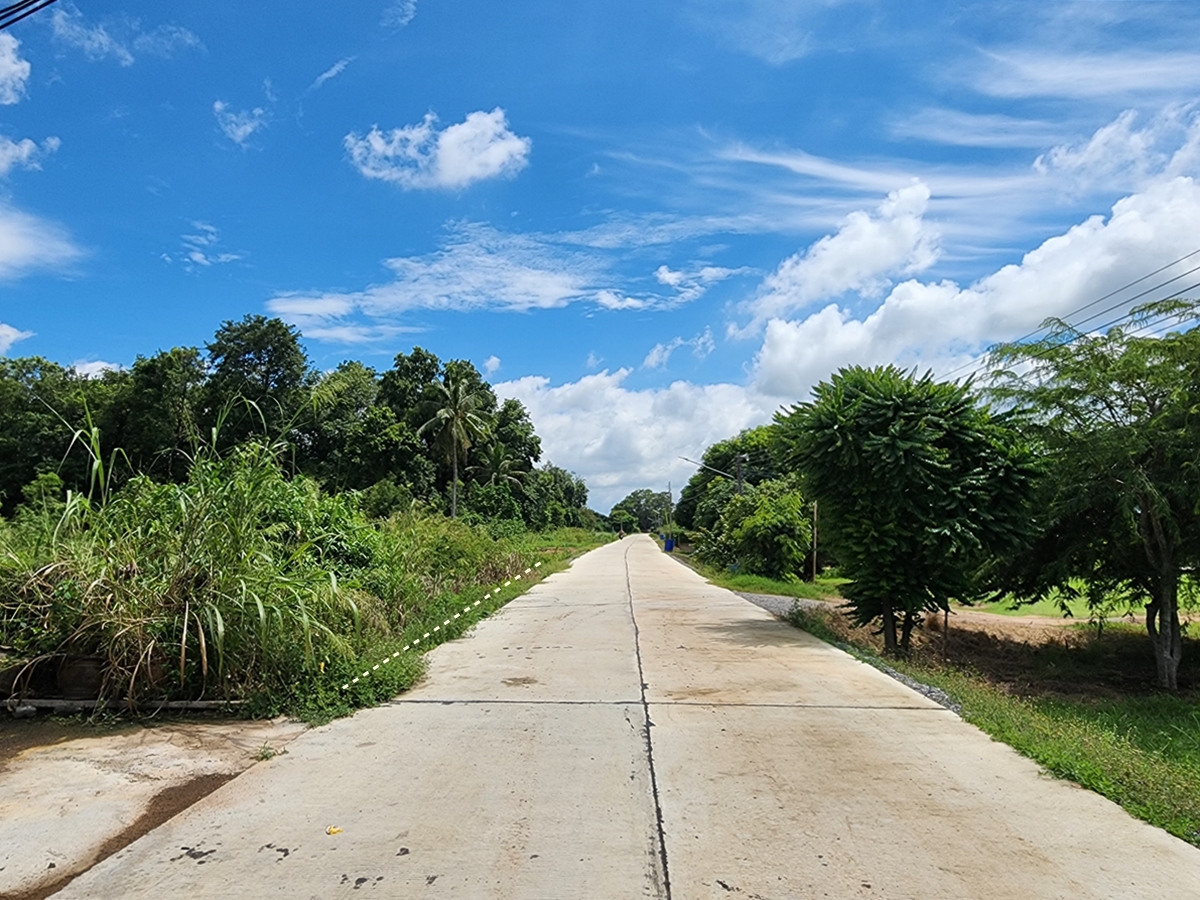 ขาย ที่ดิน 3-1-30 ไร่ ติดแม่น้ำเจ้าพระยา วิวภูเขา อ.เมืองชัยนาท จ.ชัยนาท รูปที่ 6