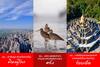 รูปย่อ รับจองตั๋วเครื่องบินสายการบิน Air Asia ทั้งในและต่างประเทศ รูปที่7
