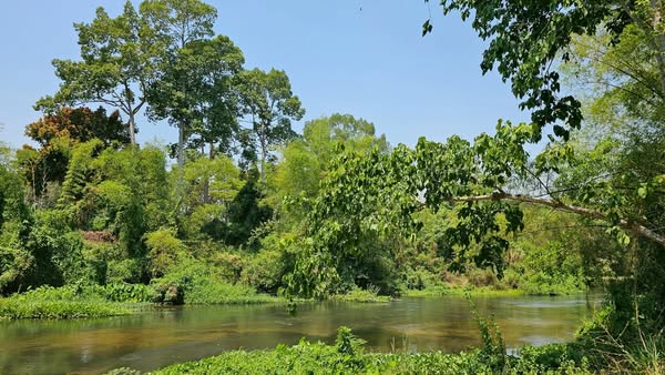 ขายที่ดินสวยระดับนางฟ้า ติดริมแม่น้ำเพชรบุรี รูปที่ 1