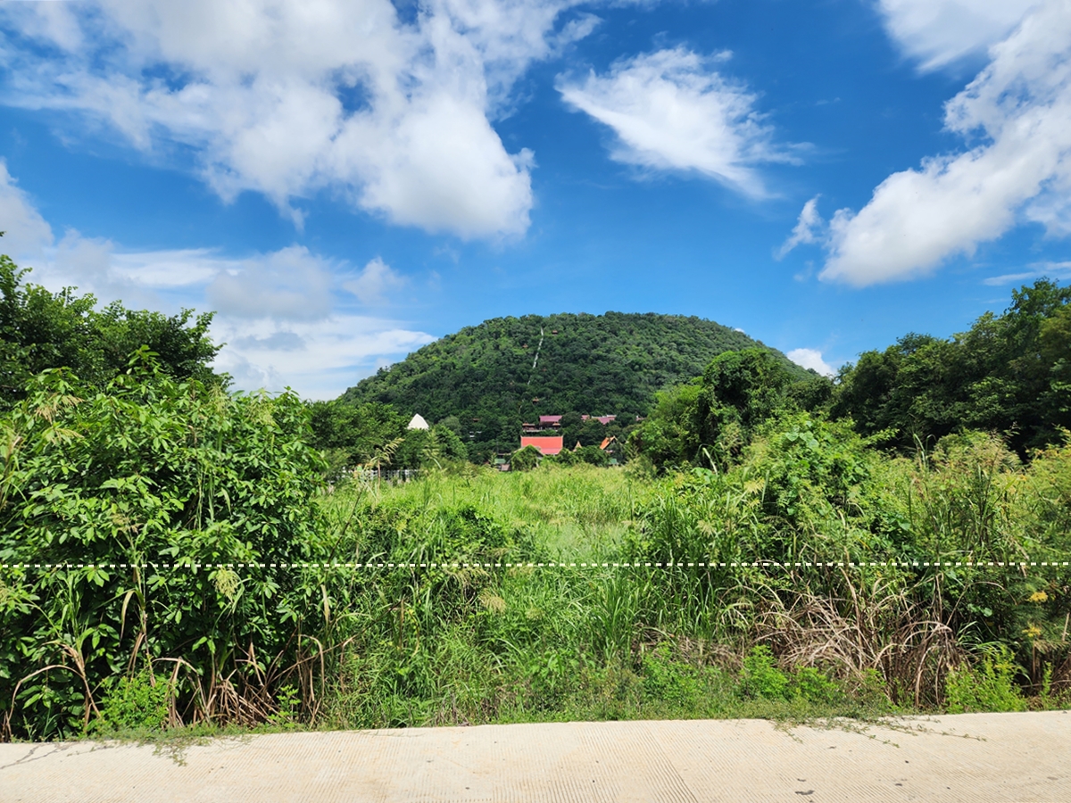 ขาย ที่ดิน 3-1-30 ไร่ ติดแม่น้ำเจ้าพระยา วิวภูเขา อ.เมืองชัยนาท จ.ชัยนาท รูปที่ 5