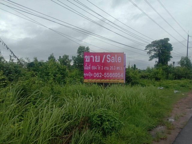 ขายที่ดิน 694 ไร่ ติดถนนสุขุมวิท จันทบุรี ตรงข้าม มรภ.รำไพพรรณี หน้ากว้าง 400 ม. ไร่ละ 2.5 ล. รูปที่ 1