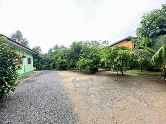 บ้านสวนร่มรื่น น่าอยู่มากะอาดน่าอยู่ ร่มรื่น บนเนื้อทีท172ตร.ว.เขัาออกได้สองทาง รูปที่ 1