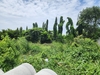 รูปย่อ ขาย ที่ดินเปล่า ถมแล้ว 200 ตร.ว. ถ.บางบัวทอง-สุพรรณบุรี (สาย 340) รูปที่4