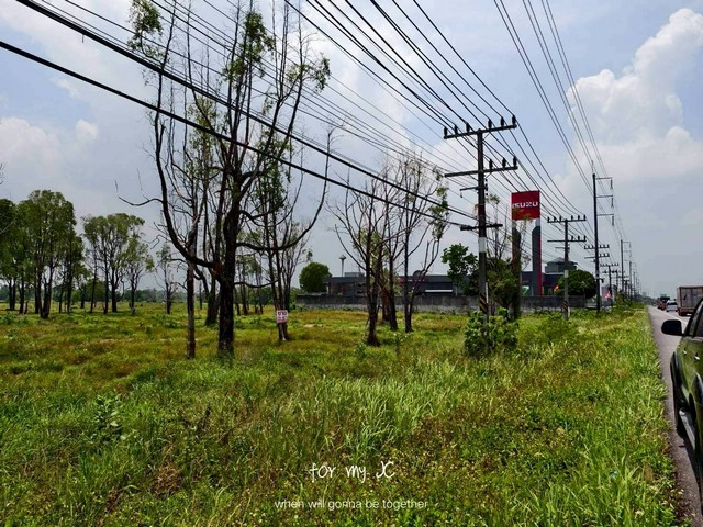 ขายที่ดินแปลงใหญ่ 42-0-75 ไร่ ใกล้สำนักงานเทศบาลตำบลบ้านนา ติดถนนหาดใหญ่–ปัตตานี รูปที่ 1
