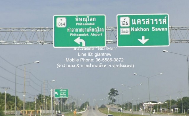 ขายบ้านพร้อมที่ดินสวนมะพร้าว มะม่วง บึงพระ จ.พิษณุโลก ติดถนนเลี่ยงเมืองพิษณุโลก 56-0-17 ไร่ ราคา 199 ล้านบาท  รูปที่ 1
