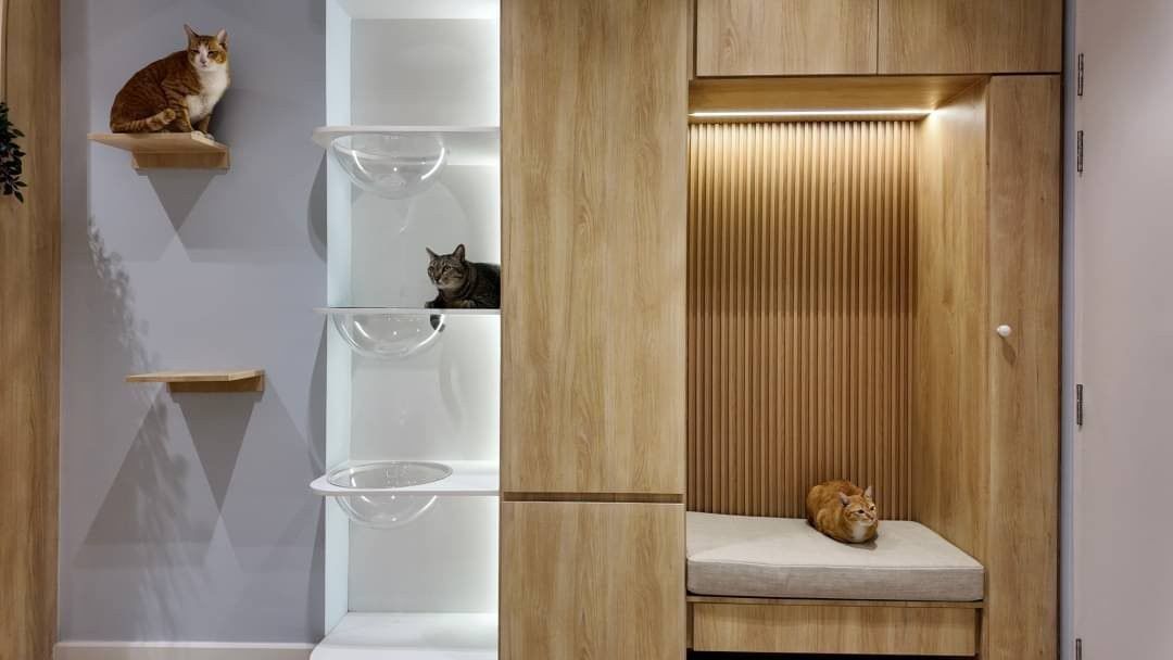 คอนโดทำเลทอง ใจกลางเชียงใหม่ 2.29 ล้าน 54 ตรม. #ศรีธนา1 คอนโด #Pet-Friendly! #วิวเมือง ห้องกว้าง #เฟอร์นิเจอร์ครบ พร้อมเข้าอยู่ได้เลย รูปที่ 1
