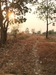 รูปย่อ ขายที่ดินเปล่า ทำเลทอง ต.เมืองศรีไค อ.วารินชำราบ จ.อุบลราชธานี รูปที่2