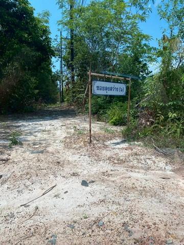 ขายที่ตราดผังเมืองสีเขียว ที่ใกล้ทะเลติดคลองสนห่างจากทะเล100เมตร รูปที่ 1