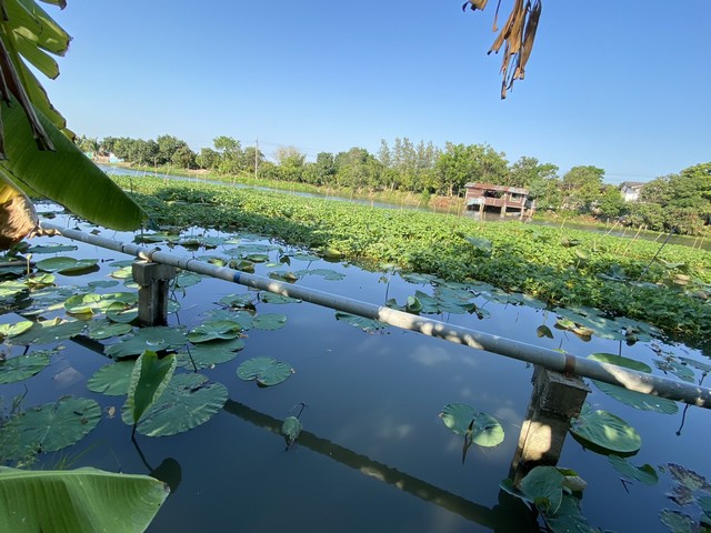 ขายที่ดินติดถนน4เลนด้านหลังติดคลองนราภิรมย์399.7 ตร.ว.ย่านนครปฐมศาลายาพุทธมณฑล รูปที่ 1