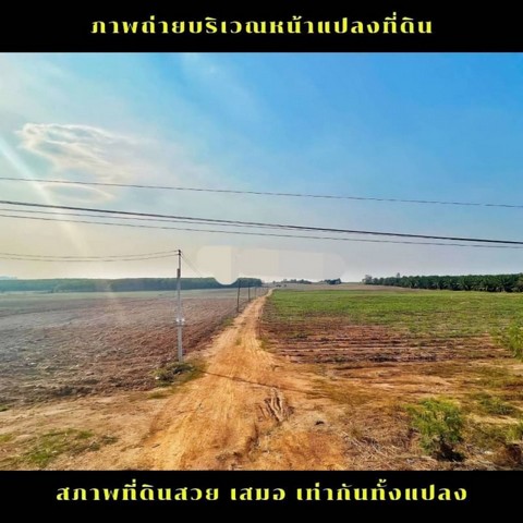 ขายที่ดินผังสีเหลือง โซนหนองเสือช้าง ทำเลดี เขตEEC ชลบุรี FP-L0378  รูปที่ 1