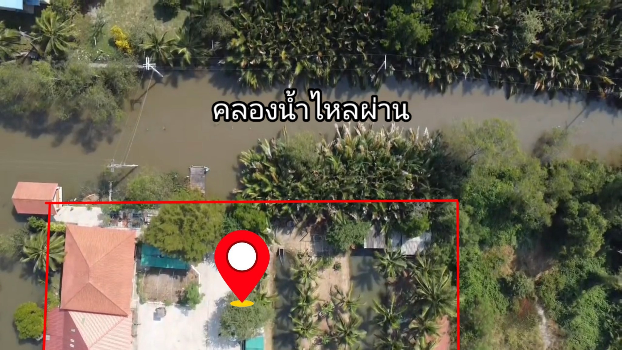 ที่ดินอัมพวาแปลงสวยๆ ติดคลองน้ำ ขนาด 3ไร่56ตร.ว. พร้อมสิ่งปลูกสร้าง รูปที่ 1