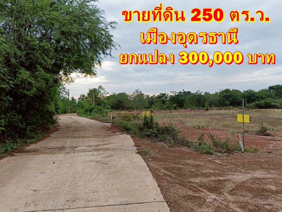 ขายที่ดิน เนื้อที่ 250 ตรว. ใกล้เมืองอุดร ติดถนนคอนกรีต มีไฟฟ้า  รูปที่ 1