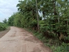 รูปย่อ ขายที่ดิน เนื้อที่ 250 ตรว. ใกล้เมืองอุดร ติดถนนคอนกรีต มีไฟฟ้า  รูปที่6