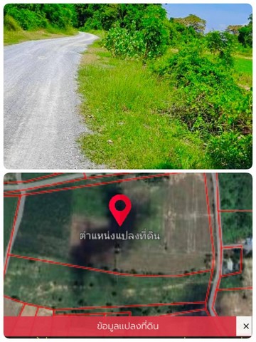ขายที่ดินอำเภอหนองหญ้าไซ จังหวัดสุพรรณบุรี เนื้อที่ 46 ไร่ 1 งาน 64 ตารางวา รูปที่ 1