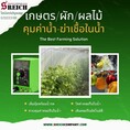 เอส ไรคส์ ให้บริการปั๊มสำหรับงานเกษตร ปั๊มจ่ายปุ๋ย ปั๊มเติมวิตามิน ปั๊มดูดส่งคลอรีน