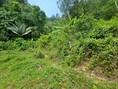 ขายที่เปล่าภูเก็ต...ขายที่ใกล้British International School Phuket