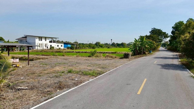 ที่ดินสวย ทำเลดี ติดถนนลาดยาง 237 ตรว. 980,000.- คลอง 11 หนองเสือ ปทุมธานี รูปที่ 1
