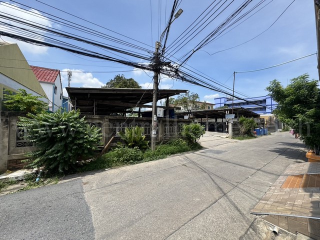 P1 ที่ดินเปล่า 194 ตร.วา ถมเทปูนแล้ว ซอยประชาอุทิศ 5 สรงประภา - ดอนเมือง  รูปที่ 1