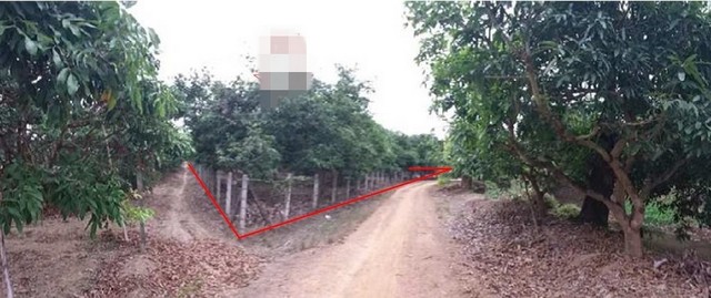ขายที่ดินว่างเปล่ามือสอง     บ้านเหล่ายาวเหนือ ลำพูน รูปที่ 1