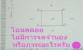 ขายที่ดิน1ไร่ลำลูกกาคลอง4 ซอยไสวประชาราษฎร์19 ลาดสวาย โฉนดลอยเจ้าของขายเอง ราคาต่อรองได้ นัดดูโฉนดตัวจริงได้