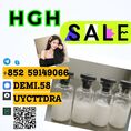 CAS 910463-68-2 Semaglutide Original powder for weightloss peptide HGH