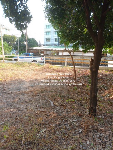 ที่ดิน ขายที่ดินเปล่าถมแล้ว ซ.ลาดพร้าว 94 (ตรงข้ามห้างอิมพิเรียล เวิลด์ ลาดพร้าว) 88 ตร.ว. ราคา 15 ล้านบาท (โอนฟรี)  ใหญ่ขนาด 88 SQ.WA 0 ngan 0 Rai  12500000 thb ใกล้ บิ๊กซี ลาดพร้าว 1 และห้างอิมพิเรียล เวิลด์ ลาดพร้าว พื้้นที่กว้างขวาง กรุงเทพ รูปที่ 1