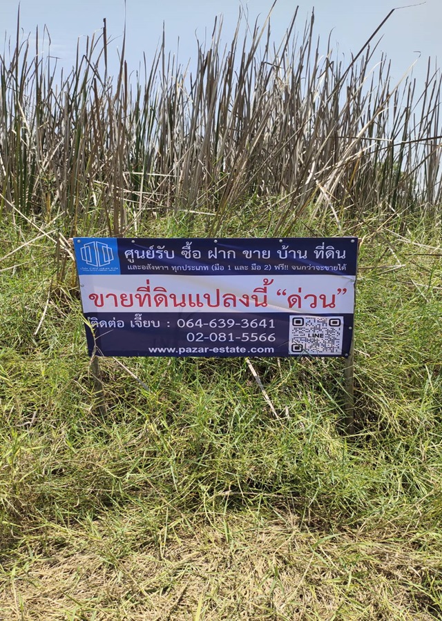 ขายที่ดินบึงน้ำรักษ์ เนื้อที่ 200 ตร.ว. คลอง 11 ห่างจากถนน  ถ.รังสิต-นครนายก เพียง 800 ม. เหมาะสำหรับปลูกที่พักอาศัย อำเภอธัญบุรี จ.ปทุมธานี รูปที่ 1