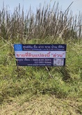ขายที่ดินบึงน้ำรักษ์ เนื้อที่ 200 ตร.ว. คลอง 11 ห่างจากถนน  ถ.รังสิต-นครนายก เพียง 800 ม. เหมาะสำหรับปลูกที่พักอาศัย อำเภอธัญบุรี จ.ปทุมธานี