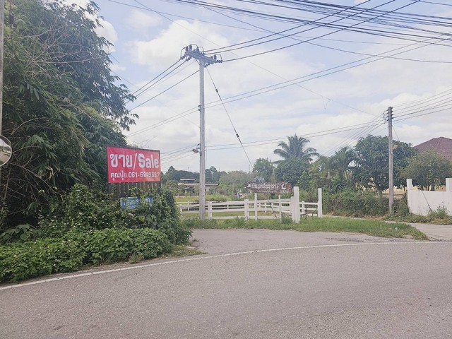 ขายที่โคราช ขายที่เปล่าปากช่อง ขึ้นเขาใหญ่ห่างถ.มิตรภาพเพียง600เมตร รูปที่ 1