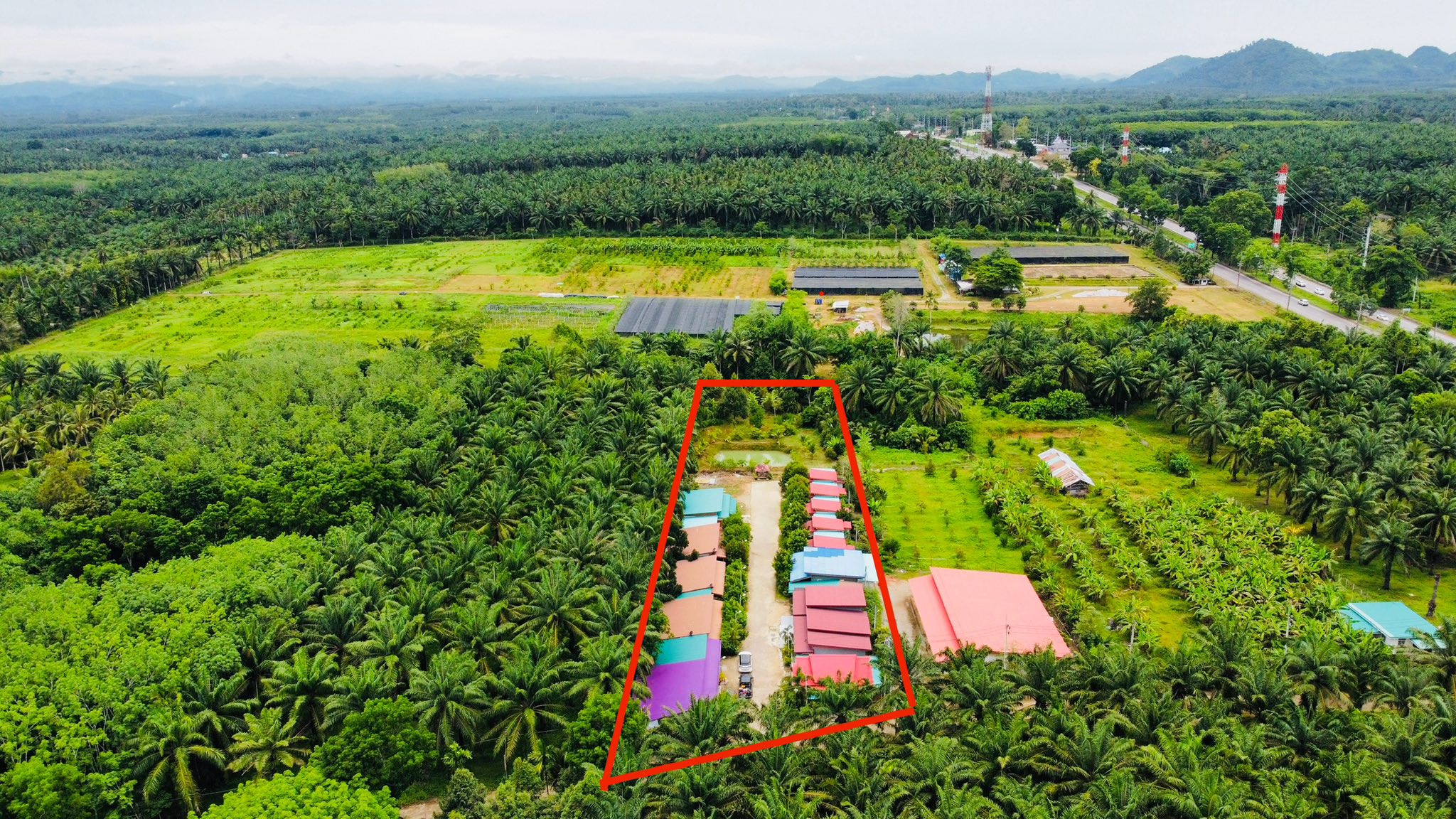 ขายกิจการ รีสอร์ท+บ้าน ท่าแซะ ชุมพร  รูปที่ 3