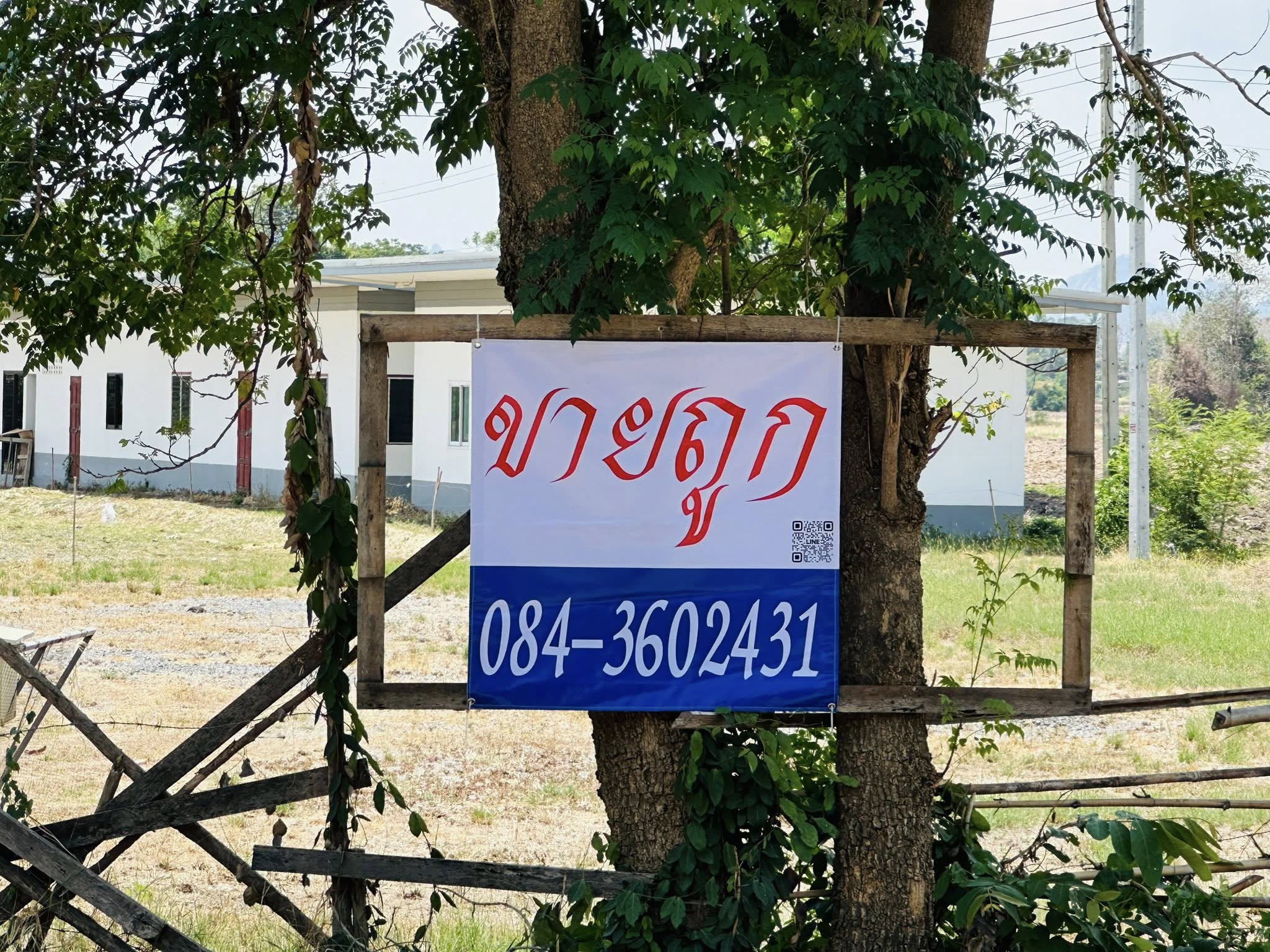 ขายโกดัง สระบุรี ที่ดิน 22 ไร่ 3 งาน 38 ตร.ว. รูปที่ 7